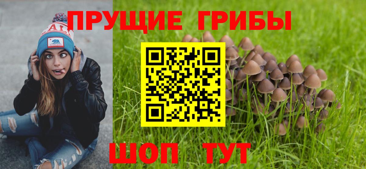 Троицк  Галлюциногенные грибы прущие грибы  наркошоп  Вход с VPN 
